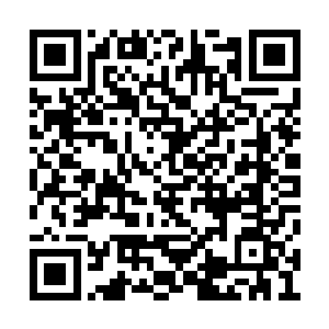 名字叫薄荷的小家伙也无数次冲到程珈澜的面前二维码生成