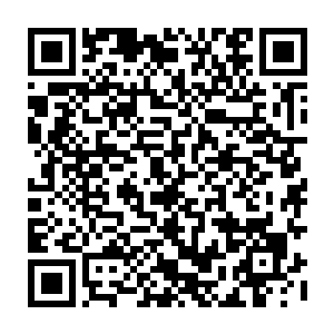 后来布尔什维克反对的理由只是说立宪会议的选举是根据临时政府的法律进行的二维码生成