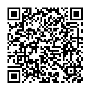 后来莫妮卡在一次无意中才知道洛伦佐原来是佛罗伦萨的黑手党教父二维码生成