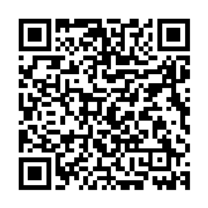 后起的那些弟子对于那一段恩怨似乎早就已经没有了多少的印象二维码生成