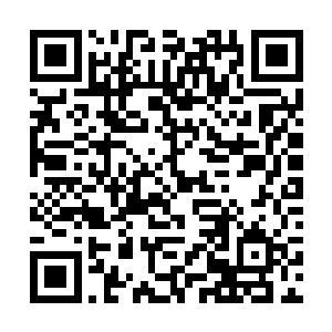 后面的计划就算他卷着袖子亲自动手也无法进行下去二维码生成