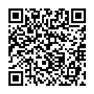 向來都是由上一任家主和长老团一起合意商量决定出來的二维码生成