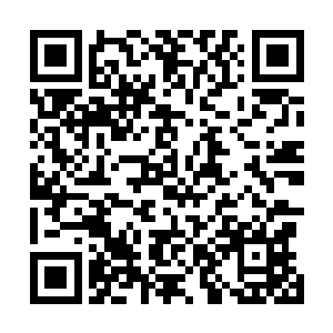 吕家一众高层在吕梁的带领下于正门处送别杨开和秋忆梦二维码生成