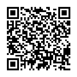 吕家是绝对不会允许自己家族的公子在自己家族的领地死亡的二维码生成