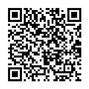 君墨皇一个人在书房里幽怨的对着这一个多星期积攒下来的奏折二维码生成