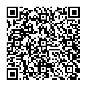 君应怜人那一副目瞪口呆瞠目结舌哑口无言呆若木鸡不可置信不敢置信不能置信的德行二维码生成