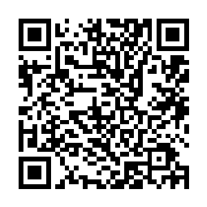 君羽生在化神之后才终于结束了他与众不同的修炼生活二维码生成