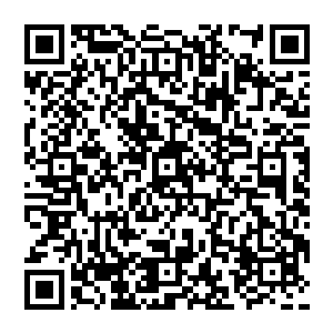 吞魂 原來还有如此來历 若是我将此地的吞魂全部吞噬 是否就会再次觉醒他的吞噬之力啊 二维码生成