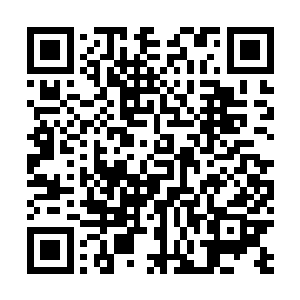 否则……上一次那样的血腥战争……只怕又要再次上演了二维码生成