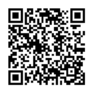 否则为什么会为了林萍萍连一直纵容的罗双飞也给赶走了二维码生成