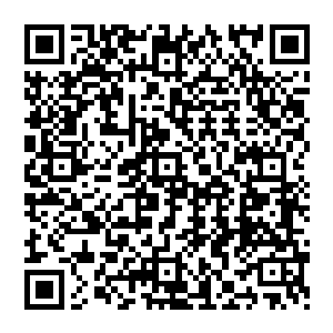 否则他和切萨雷的关系不会随着大梦的稳步发展而逐渐缓解――虽然珍妮的势头一直都在上升二维码生成