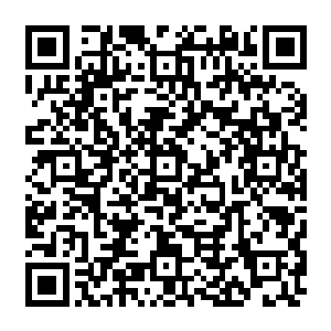 否则仙界祖先们也不会动用这种只有在家族生死存亡的关头才能启用的破界通讯法阵二维码生成