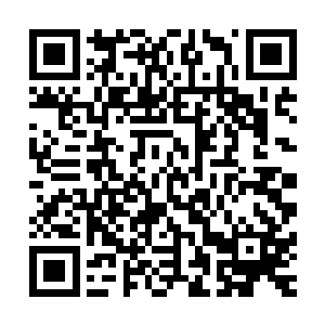 否则南诏王上不会接连几日总是夜深人静的时候才召开密会了二维码生成