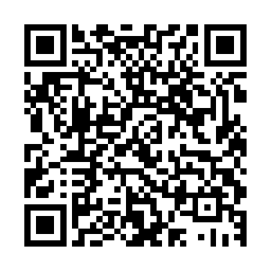否则在银河系没有任何一个军校拥有全系列的机甲供学生使用二维码生成