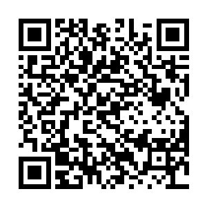 否则杨开保不准自己现在会不会挣脱束缚将她扑倒在地二维码生成