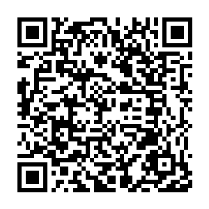 否则根本无法对他构成生命威胁的……他已经是至尊境以下无敌了二维码生成