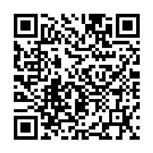否则的话也不会将周天星辰珠这么重要的宝物交给他保管了二维码生成