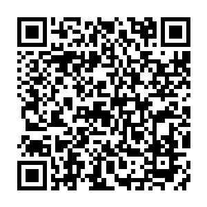 否则的话当初的时候周媚儿和周青也不会冒着天大的危险去寻找幻灵果了二维码生成