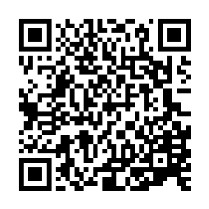 否则的话杨戬几个人在这边打斗的动静只怕早就将他们引过来的二维码生成