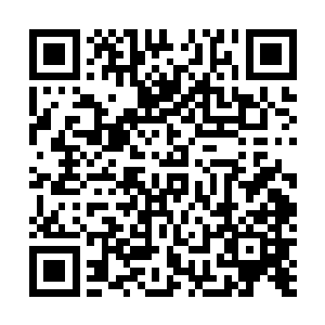 否则的话那刺客和秦思思无冤无仇不可能去刺杀秦思思的二维码生成