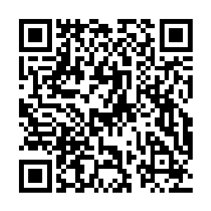 否则还真不知道会不会迟到――在自己的演唱会上迟到二维码生成