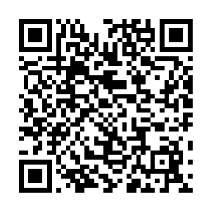 否则这种低程度的比赛他们压根连押注的兴趣都没有……二维码生成