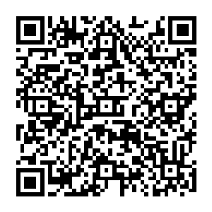 否则领悟出一门和自己修为相等或者比自己修为低上一层的圣域绝学根本不算天才二维码生成