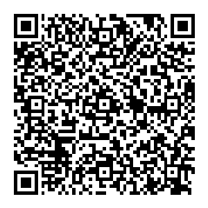 听到林思伊的加油声诺维斯基的雄性荷尔蒙瞬间爆棚在这一瞬间他仿佛樱木花道超级赛亚人附体了一样浑身都是力量二维码生成