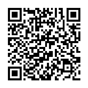 听到藤筐内因颠动而发出的硬物轻微碰撞摩擦的声响二维码生成