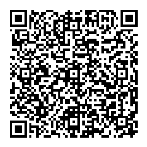 听完华辰的话 讯问的警察也沒觉得有什么漏洞 也就让华辰先一步回去 随后又把费超凡的女朋友蒋雯给叫了过來二维码生成