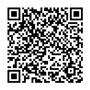 听着西德尼侃侃而谈制片人的诀窍和心得――他本人不但是才华横溢二维码生成