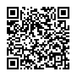 听说你之前施展出妖星变的时候也是擅长使用毒素攻击二维码生成