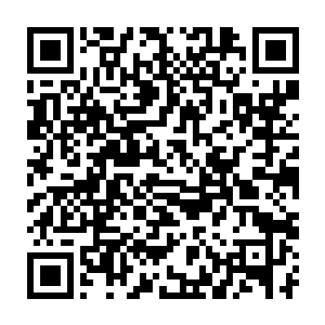 听说最近我们格森王国新冒出来的护国国师曾经也是卡加斯学院的学生二维码生成