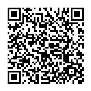 听说王子殿下还允许他们自由的在我们的国家宣扬中医――难道说二维码生成