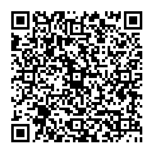 听说神圣冰岛王国那边的商会开出的条件是任何一艘商船只要能准确提供一条关于我们舰队的信息二维码生成
