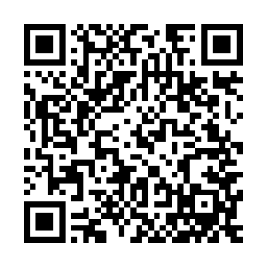 听过察言观色已经看出秦先生和这位年轻的许副局长不但认识二维码生成