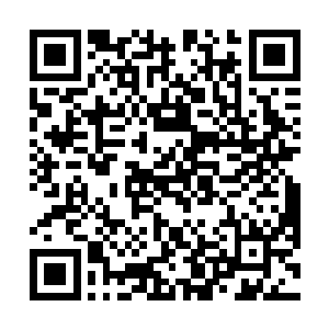 启动另一套扫描系统的机甲眼前的世界再次发生了改变二维码生成