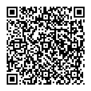 吴宇则轻声将一会见到鼎天门门主之后应该注意的事项和鼎天门门主忌讳的事情简单的对孙子轩讲解了一番二维码生成