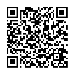吴岩发现这是一本记录修仙界常见的灵草灵木种类式样的书籍二维码生成