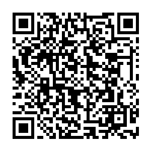 吴岩的全身硬生生被煞气开辟出了十二条新的细小的几乎可以忽略的经脉出来二维码生成