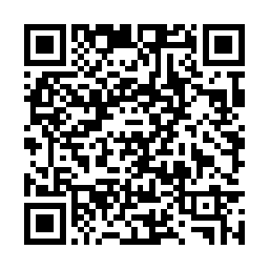 吴岩终于可以放开一切束缚的在这轮回谷中行动了二维码生成