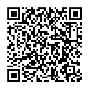 吴楚在炼制万灵丹的时候将第八种草药和第九种草药的顺序颠倒了二维码生成