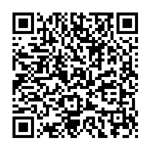 吴虎臣压根不敢想象出李月茹高贵如女神般的李月茹撒娇会是啥模样二维码生成