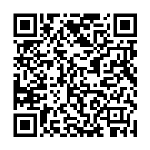 吴虎臣的心中隐隐约约地对他露出一股子淡淡地敌意二维码生成