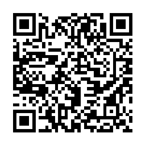 吴虎臣的脑海中不由的浮现出一群完全不怕死的人型生物二维码生成