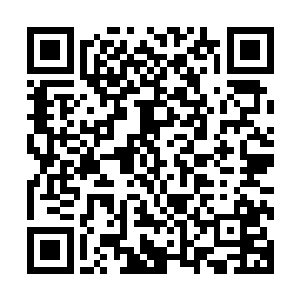 吴虎臣的身影便缓缓地从天空那漫天的绿色中缓缓地踏了出来二维码生成