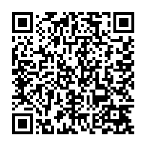 吴虎臣这样的行为着实激怒了很多来参加这次轮到大会的年轻强者二维码生成