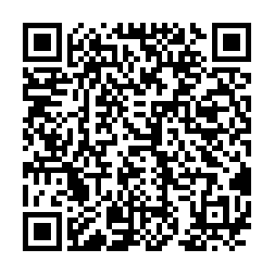 吸管携带着所有禁制符文和极小部分的正常符文退出了虚时的体内二维码生成
