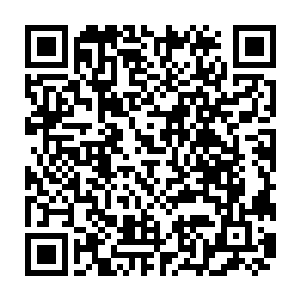 吸血鬼比尔却是强力反对－－白小飞和凤鸟一战展现出了白小飞的强大实力二维码生成