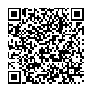 呃……我的钱包……好像是放在这里……啊……啊……没有吗……嗯二维码生成